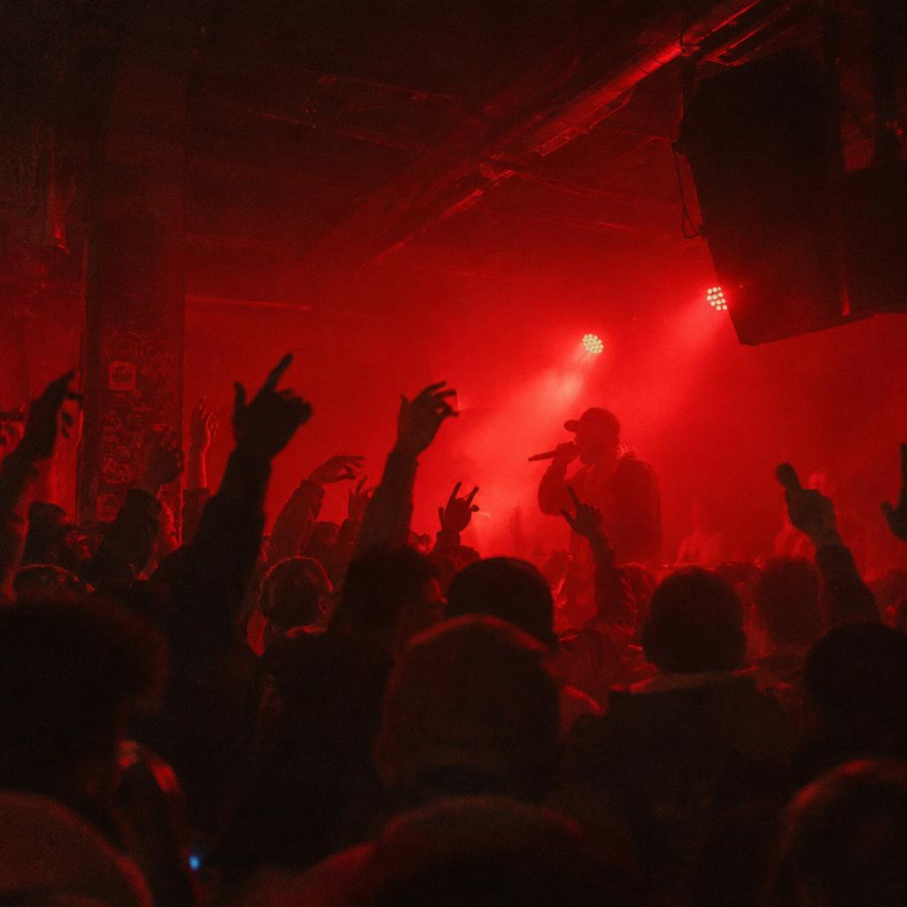 Crowd with hands raised at hip hop show